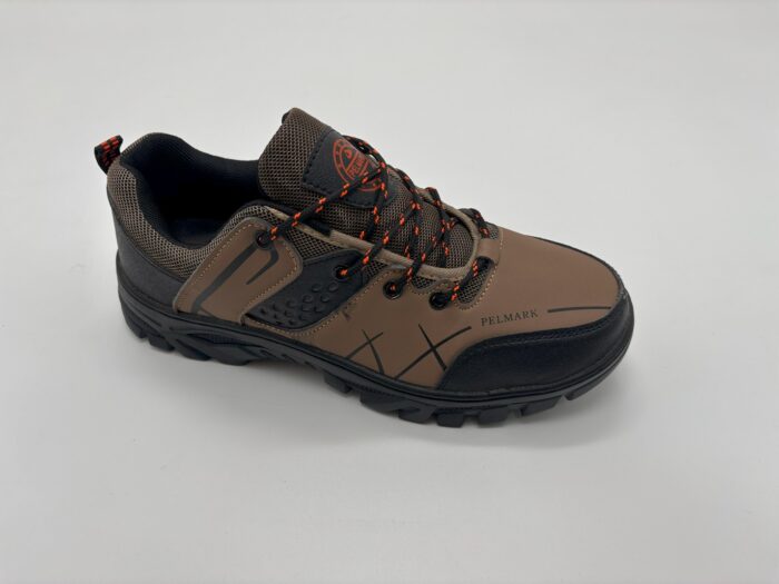 DS-3A - Image 3