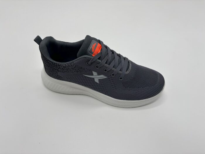 ZZY-6 - Image 2