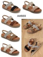 AM669